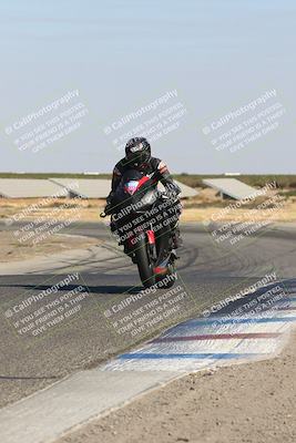 media/Oct-14-2024-Lets Ride (Mon) [[58c2a74f16]]/A Group/2pm (Wheelie Bump)/